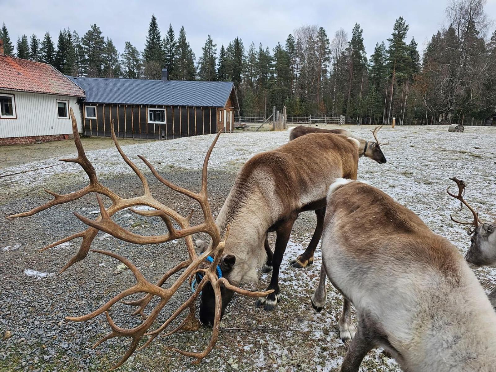 Villa Fregn Ljørdal المظهر الخارجي الصورة